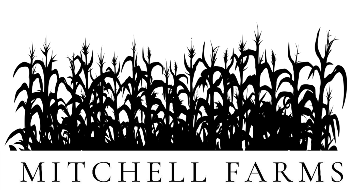 Mitchell Farms logo on black background with white serif text