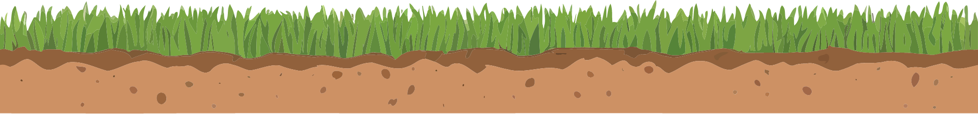 Cross-section of green grass over brown soil ground texture.