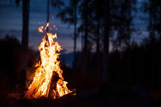 Glowing campfire in a dark forest at dusk, with warm orange flames and blue sky.