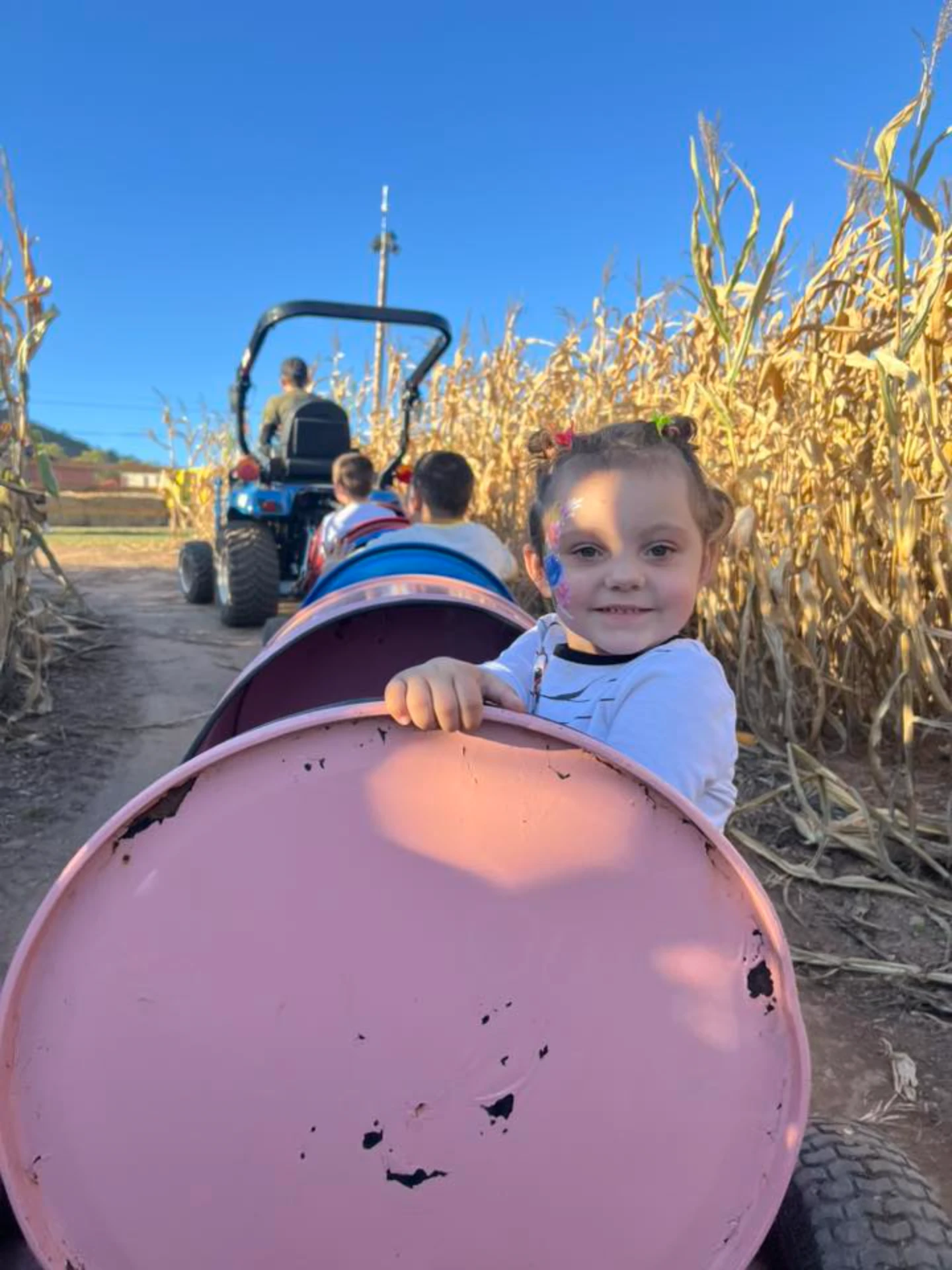 Child riding a tractor-pulled hayride through a corn maze on a sunny day.