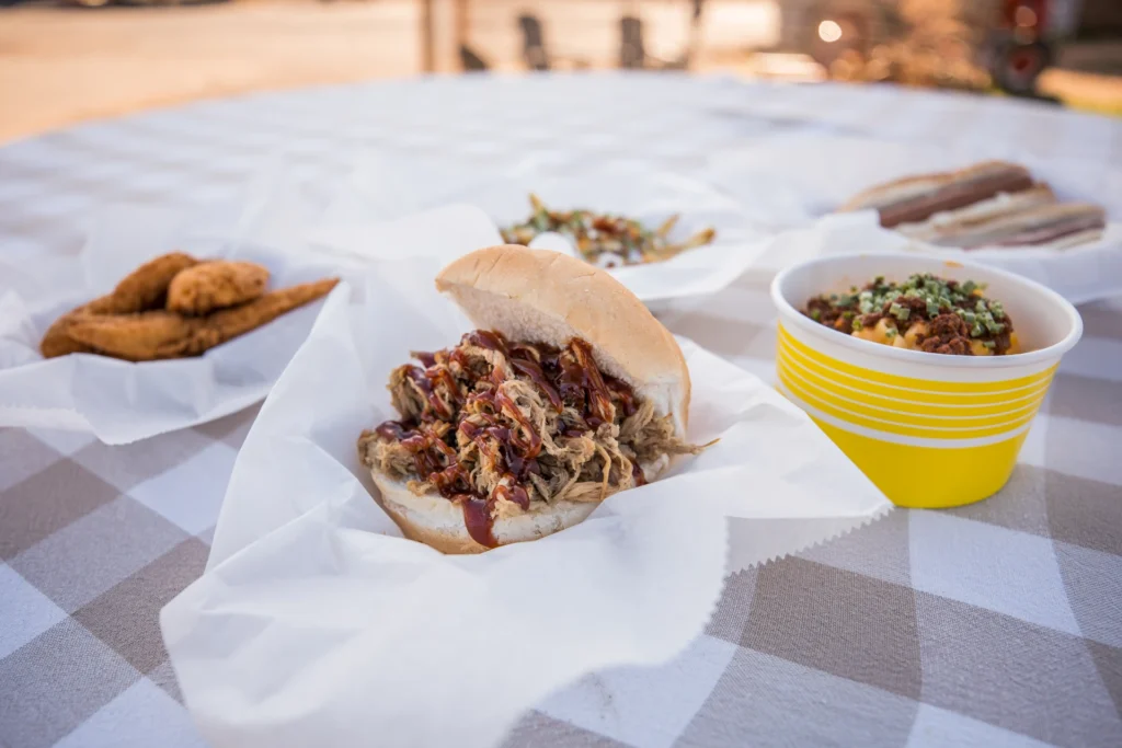 Rustic street food sandwich with shredded meat on checkered tablecloth, outdoor meal scene